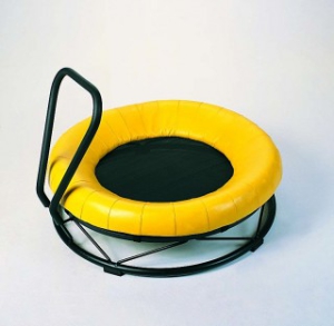 Gonge Tramplīns MONO diam. 103cm