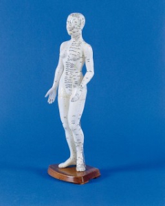 Ķīniešu akupunktūras modelis - sieviete