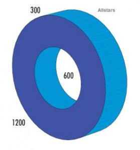Pilns aplis 300 x 1200 mm